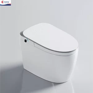 Bồn cầu thông minh TL 0107F