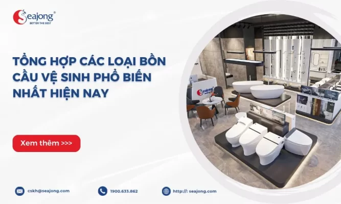cac-loai-bon-cau-ve-sinh