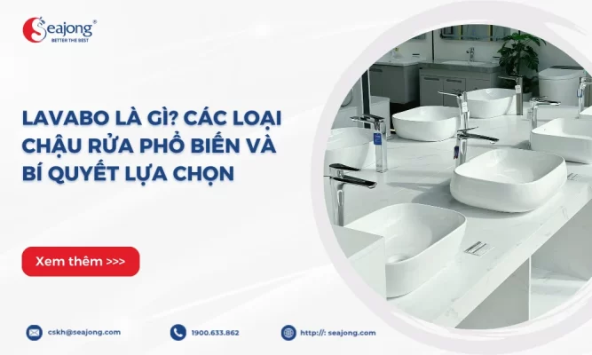 lavabo-la-gi-cac-loai-chau-rua-pho-bien