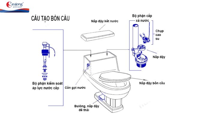 Cấu tạo bồn cầu bệt