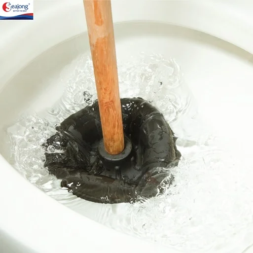 Bồn cầu bị nghẹt tiếng Anh là gì