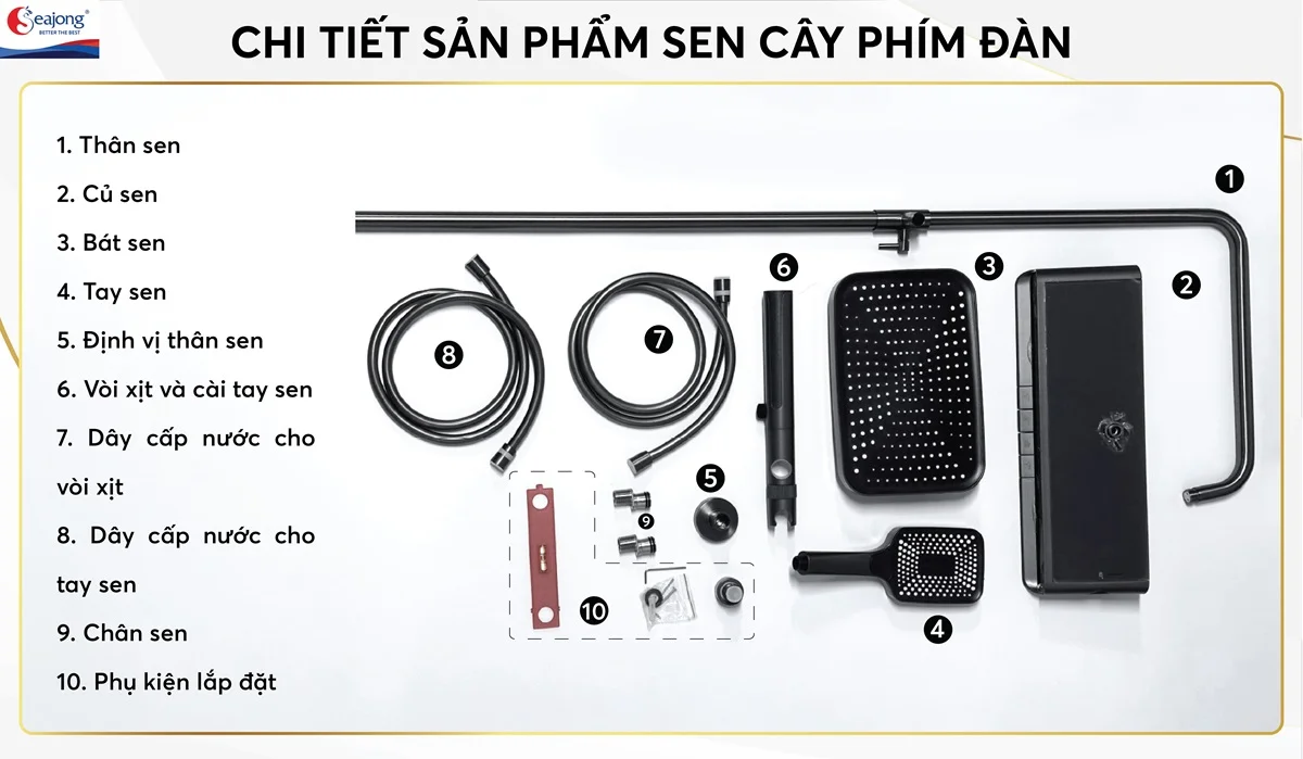 Cấu tạo của sen cây phím đàn với nhiều bộ phận khác nhau