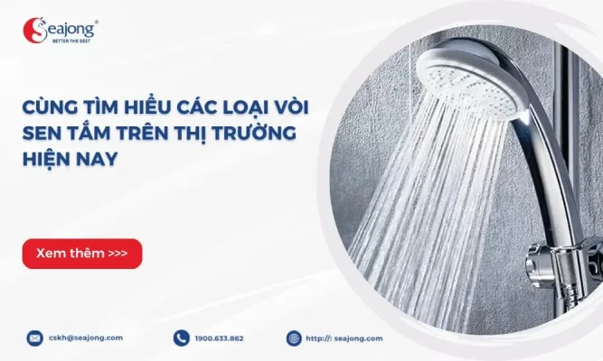 cac-loai-voi-sen-tam-tren-thi-truong