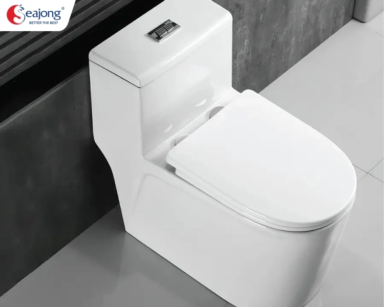 cach-lap-dat-bon-cau-mot-khoi