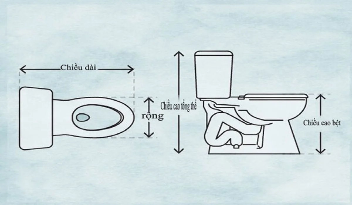 Chiều cao của bồn cầu ảnh hưởng trực tiếp đến sự thoải mái khi ngồi