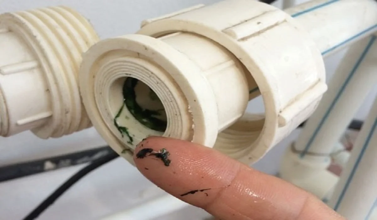 Nếu phát hiện cặn bẩn hoặc tắc nghẽn, tháo ống ra và làm sạch