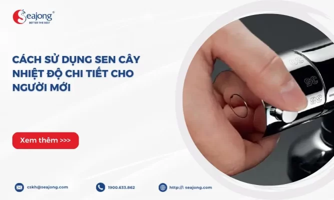 cach-su-dung-sen-cay-nhiet-do