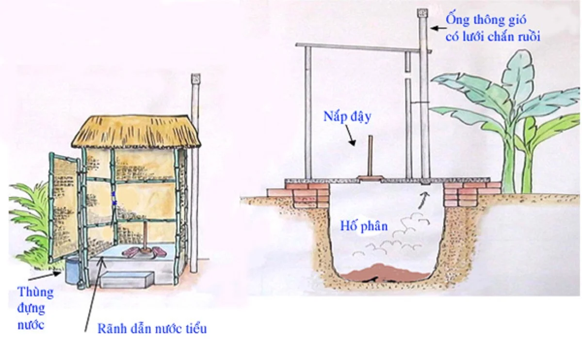 Loại nhà vệ sinh phổ biến tại nông thôn hiện nay là nhà vệ sinh tiêu đào