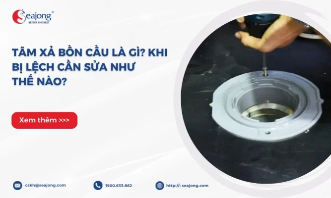 tam-xa-bon-cau-la-gi-khi-bi-lech-can-sua-nhu-the-nao