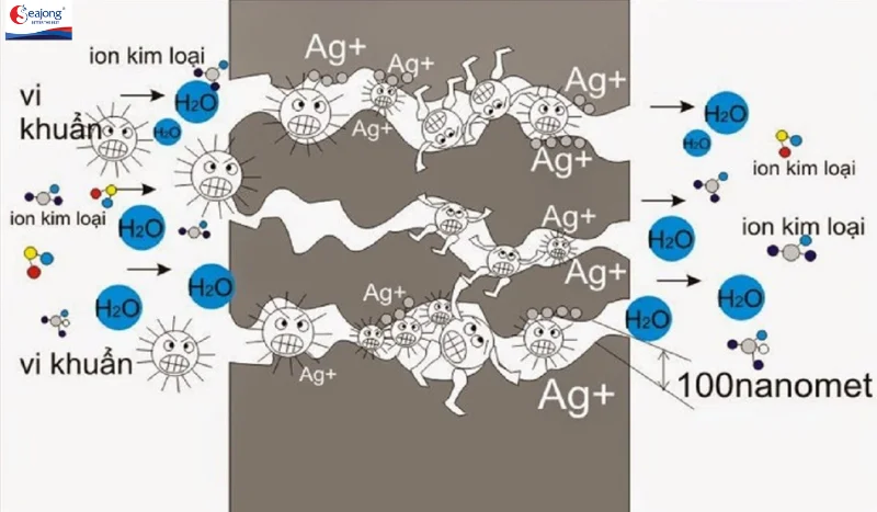 Ion bạc hoạt động dựa trên cơ chế phá hủy màng tế bào vi khuẩn