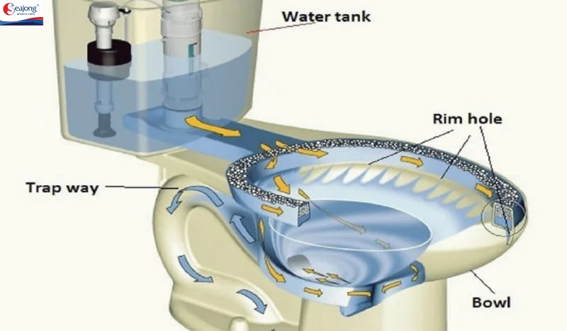 Xả siphon là một kiểu thiết kế trong hệ thống xả của bồn cầu được đánh giá cao