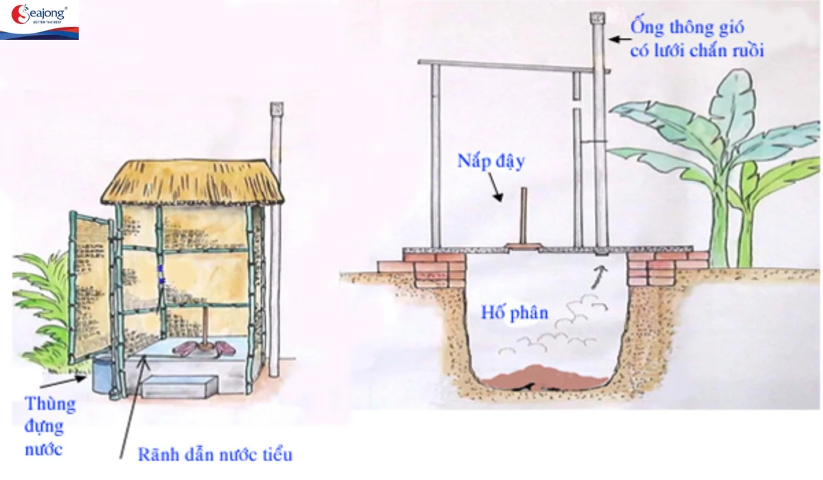 Nhà vệ sinh tiêu đào cũng là một trong những mẫu nhà vệ sinh gắn liền với tuổi thơ nhiều người trong quá khứ