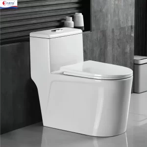 BỒN CẦU MỘT KHỐI SEAJONG SJ-668