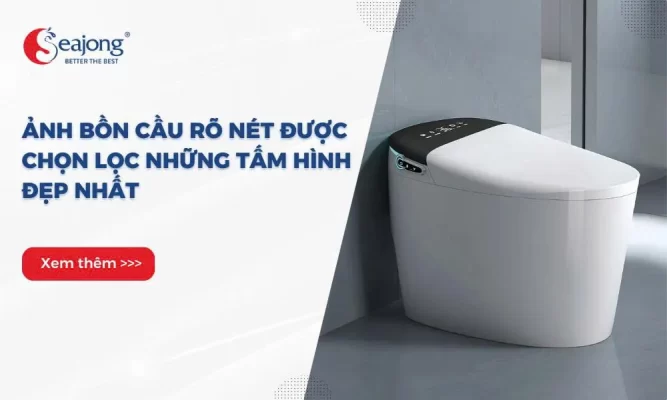 anh-bon-cau-ro-net