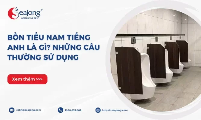 bon-tieu-nam-tieng-anh-la-gi