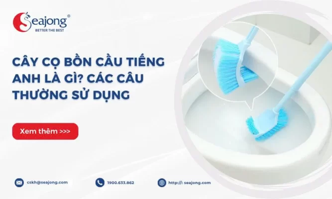 cay-co-bon-cau-tieng-anh-la-gi