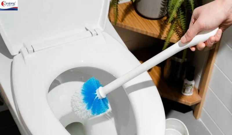 Cây cọ bồn cầu trong tiếng Anh được gọi là toilet brush