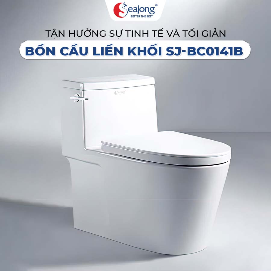 bon-cau-lien-khoi--sj-bc-0141b bon-cau-lien-khoi--sj-bc-0141b