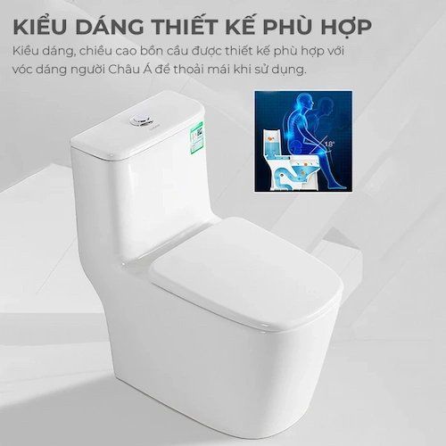 bon-cau-lien-khoi-men-su-seajong-sj-bc0144b (2)