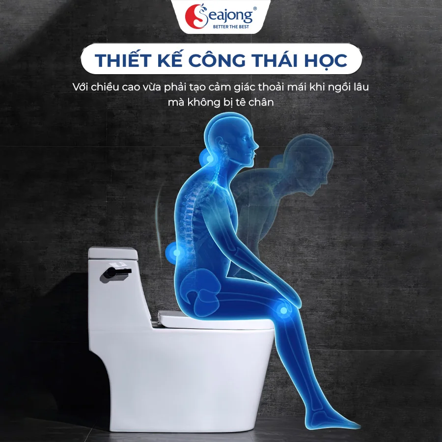 bon-cau-su-seajong-sj-bc0136b