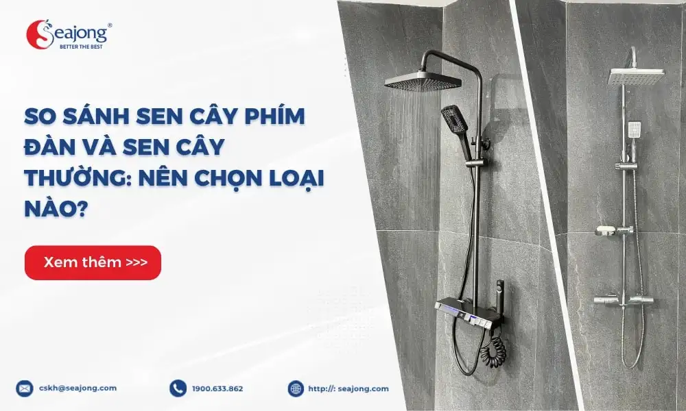 so-sanh-sen-cay-phim-dan-va-sen-cay-thuong