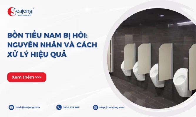 bon-tieu-nam-bi-hoi-2