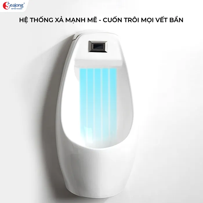 bon-tieu-nam-chinh-hang-seajong-sj-6012t