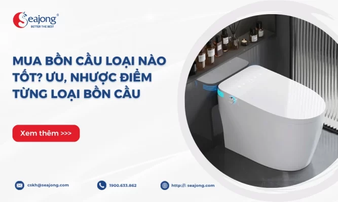 mua-bon-cau-loai-nao-tot