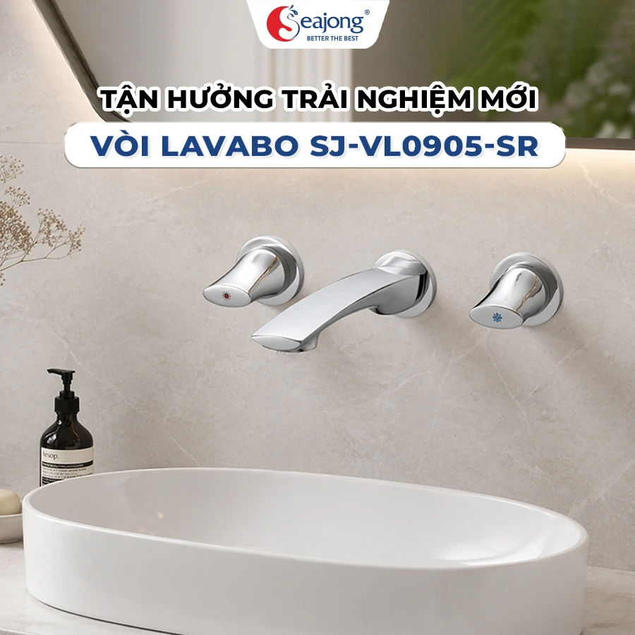 voi-lavabo-am-tuong-sj-vl0905-sr