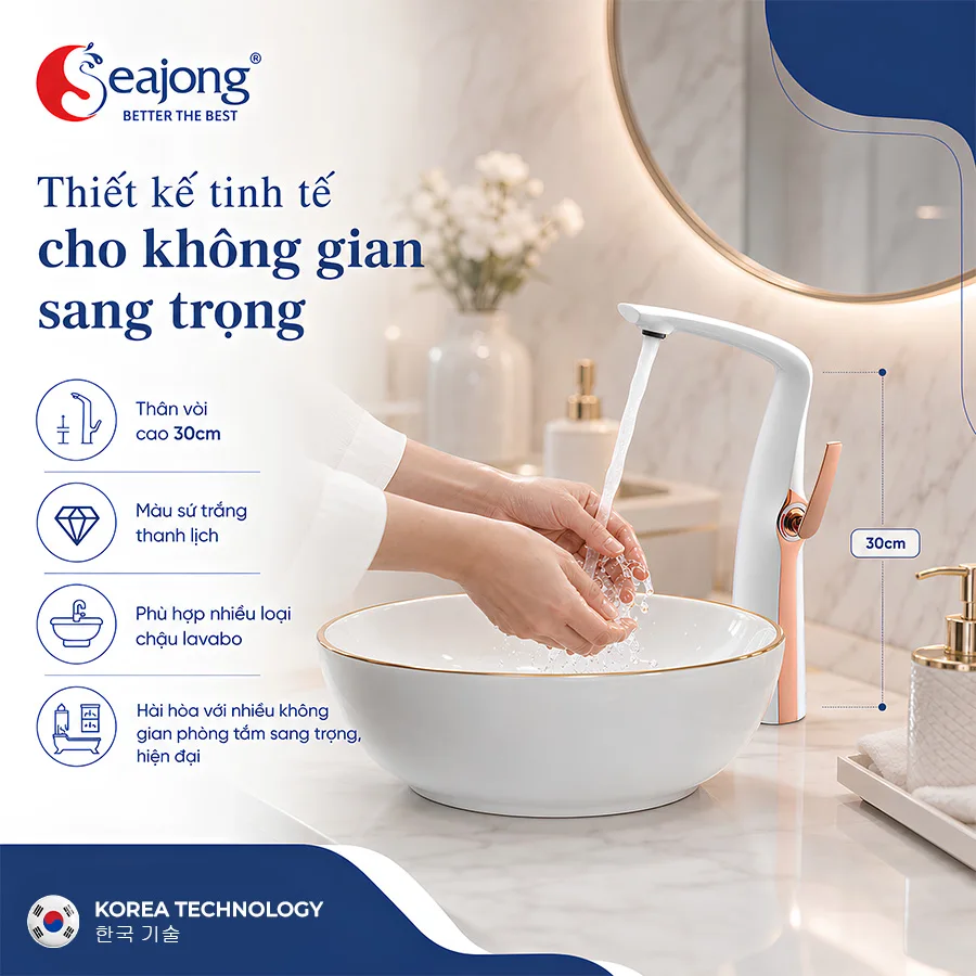 voi-lavabo-cao-cap-SJ-VL0006B-WR2