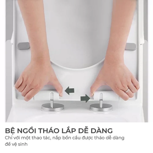 bon-cau-seajong-sj-669 