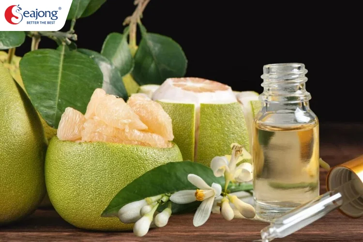 co-meo-nao-ngan-mui-hoi-tai-dien-2