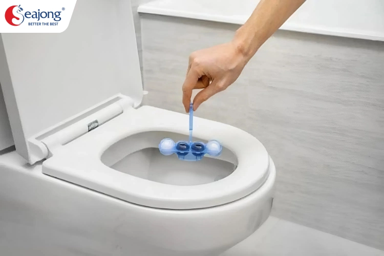 co-meo-nao-ngan-mui-hoi-tai-dien-4