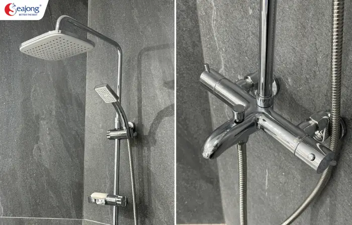 sen-cay-tam-dung-ma-chrome-seajong