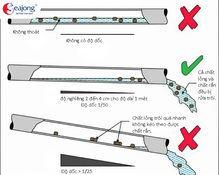 tai-sao-nha-ve-sinh-moi-xay-co-mui-hoi-cach-xu-ly-nhu-the-nao-2