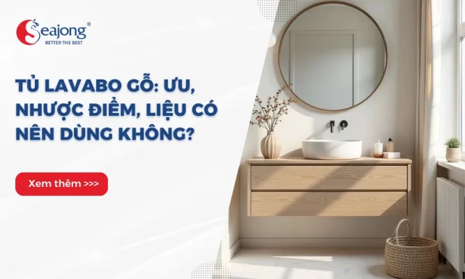 uu-nhuoc-diem-tu-lavabo-go