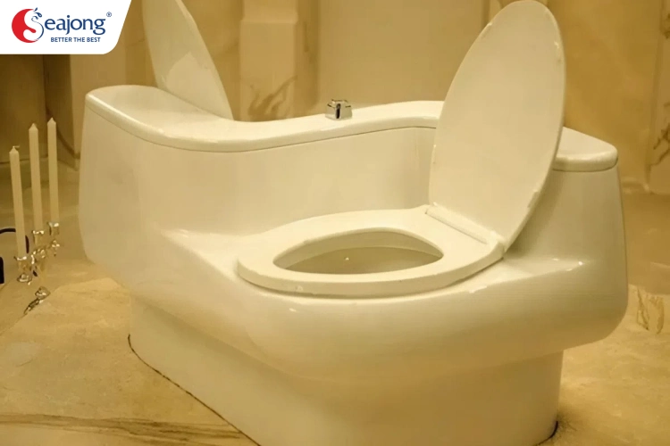 cac-loai-bon-cau-doi-pho-bien