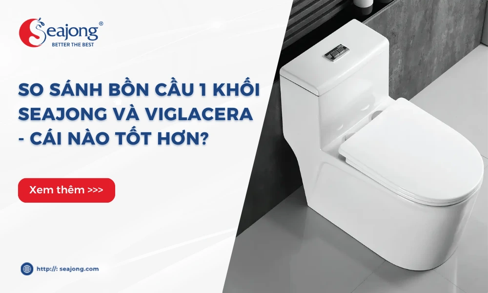 so-sanh-bon-cau-1-khoi-seajong-va-viglacera-cai-nao-tot-hon