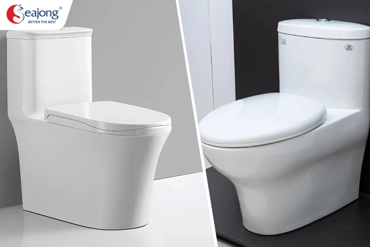 so-sanh-ve-cong-nghe-va-tinh-nang-bon-cau-1-khoi-seajong-va-viglacera