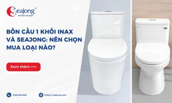 bon-cau-1-khoi-inax-va-seajong-nen-chon-loai-nao
