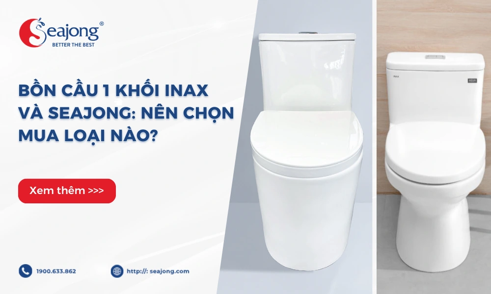 bon-cau-1-khoi-inax-va-seajong-nen-chon-loai-nao