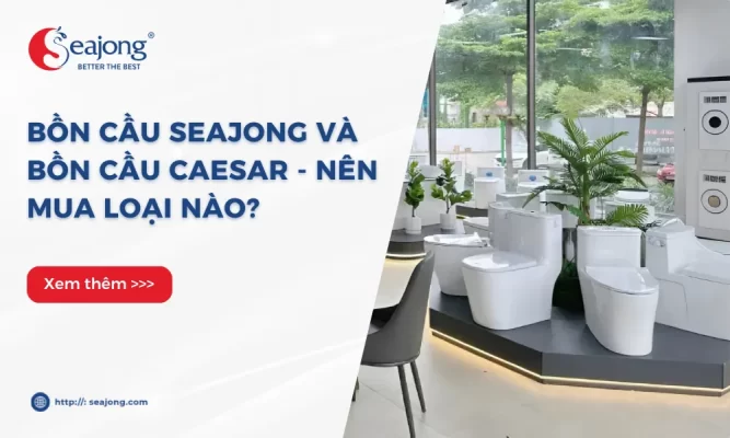 bon-cau-seajong-va-bon-cau-caesar-nen-mua-loai-nao