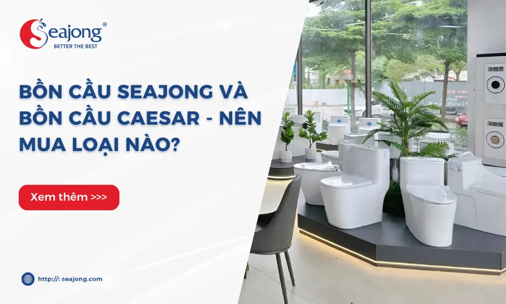 bon-cau-seajong-va-bon-cau-caesar-nen-mua-loai-nao