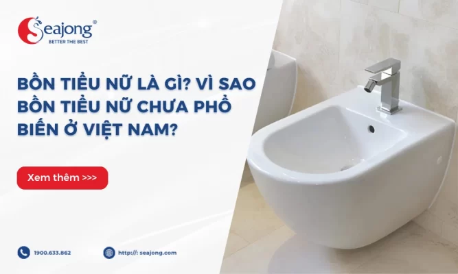 bon-tieu-nu-la-gi-vi-sao-bon-tieu-nu-chua-pho-bien-o-viet-nam