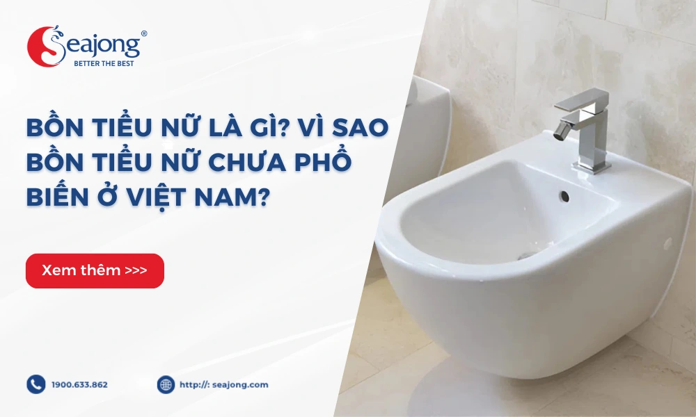 bon-tieu-nu-la-gi-vi-sao-bon-tieu-nu-chua-pho-bien-o-viet-nam