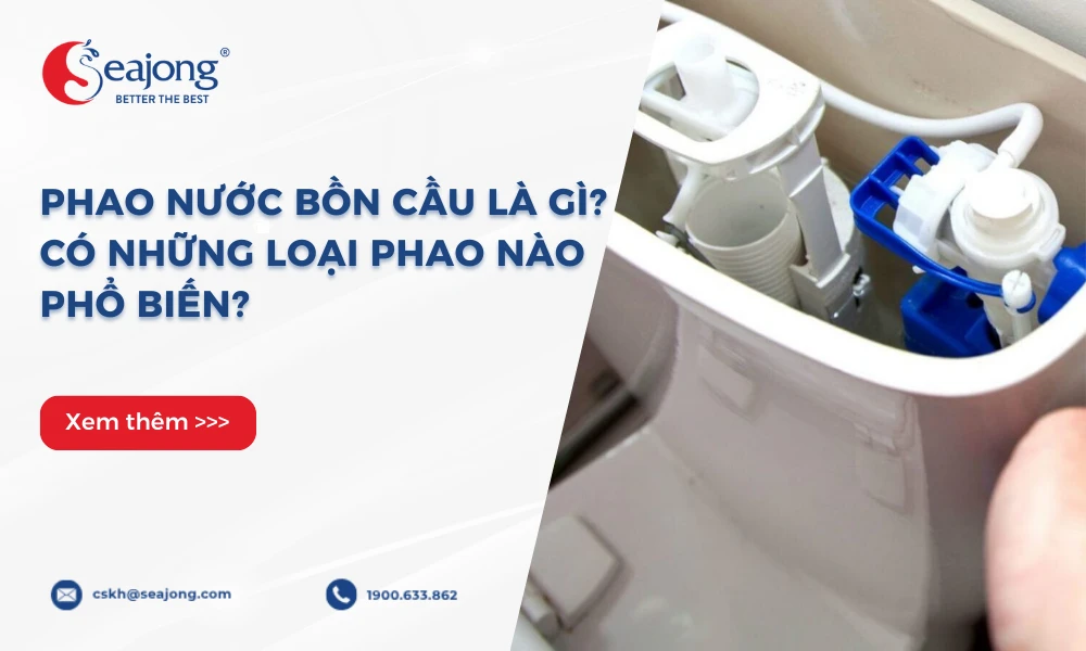 phao-nuoc-bon-cau-la-gi-co-nhung-loai-phao-nao-pho-bien