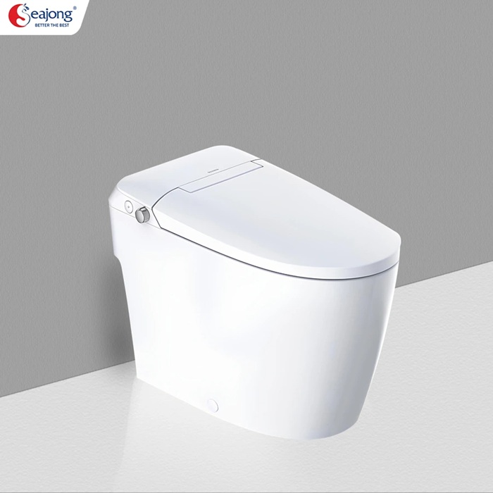 bon-cau-thong-minh-seajong-cao-cap-1