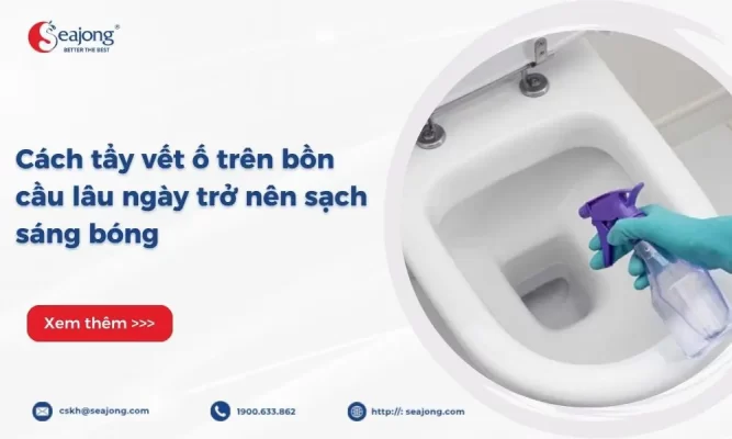 cach-tay-vet-o-tren-bon-cau-1