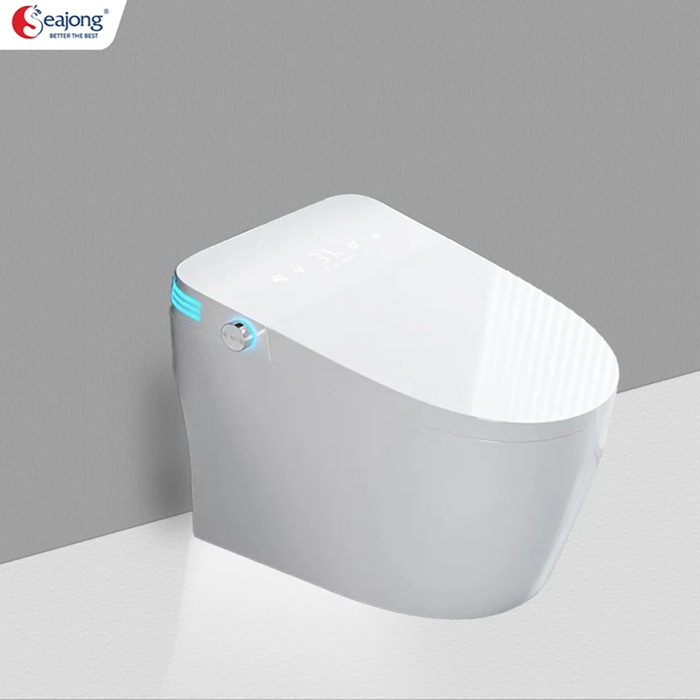 can-ho-penthouse-la-gi-8