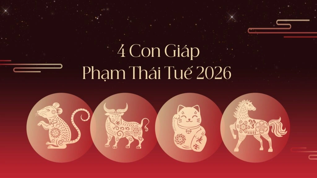 nam-2026-tuoi-nao-pham-thai-tue